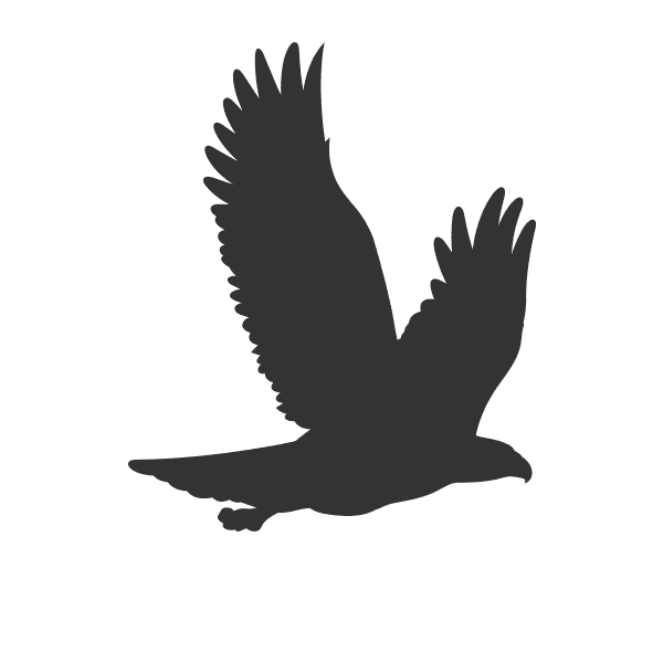 aquila