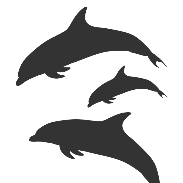 delfini